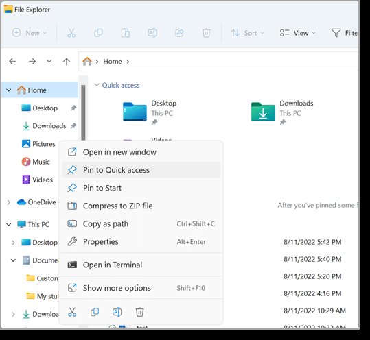 Windows 11 File Explorer
